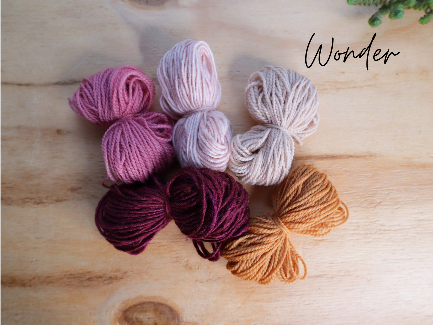 Beginner Punch Needle Kit - NO Pattern
