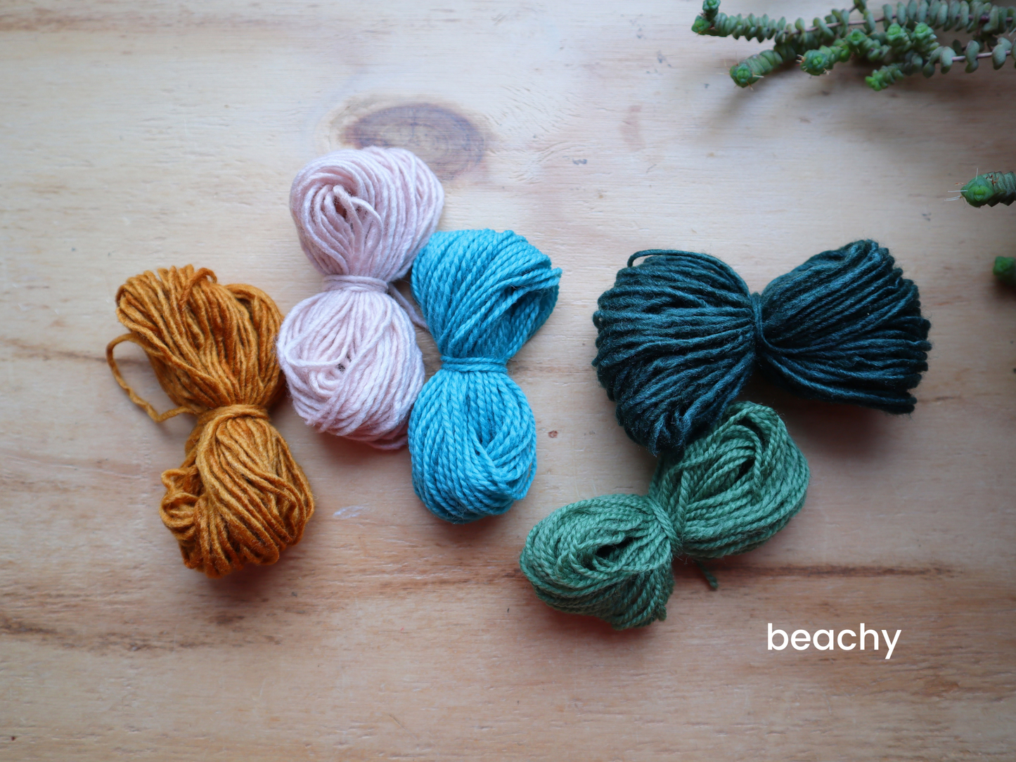 Beginner Succulent Punch Needle Kit