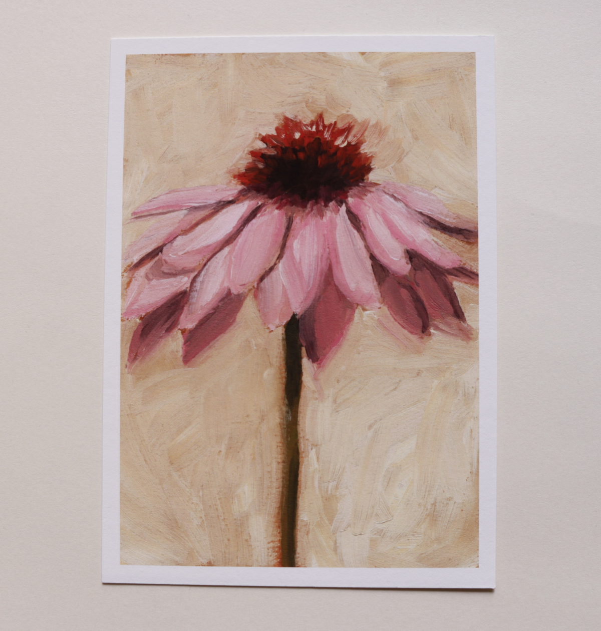 Coneflower