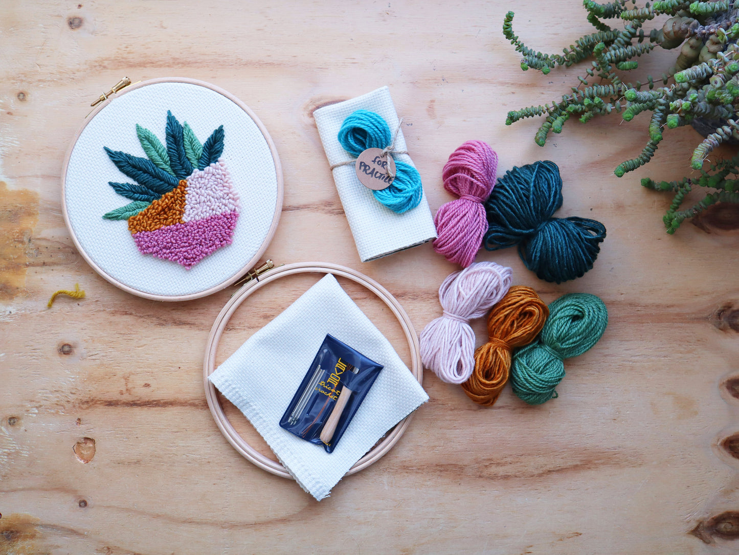 Beginner Succulent Punch Needle Kit