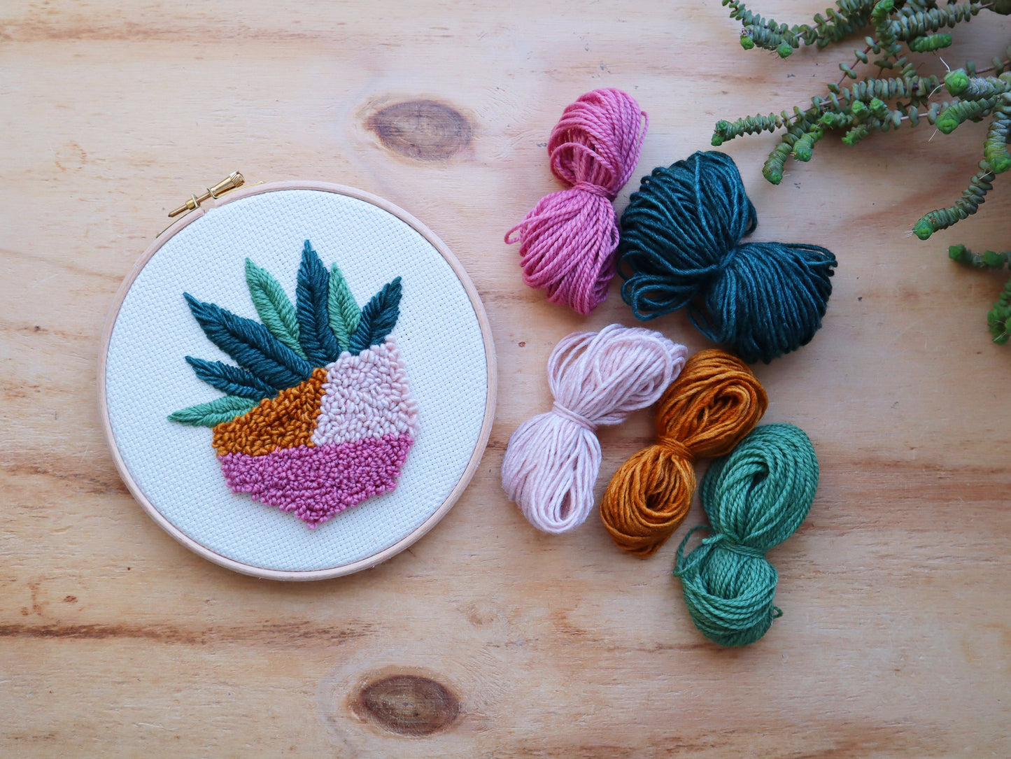 Beginner Succulent Punch Needle Kit