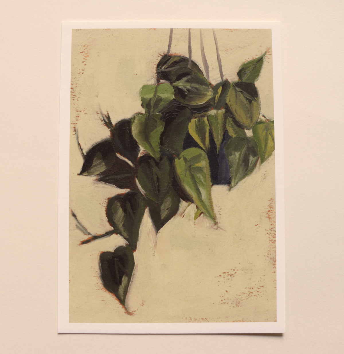 Hanging Plant