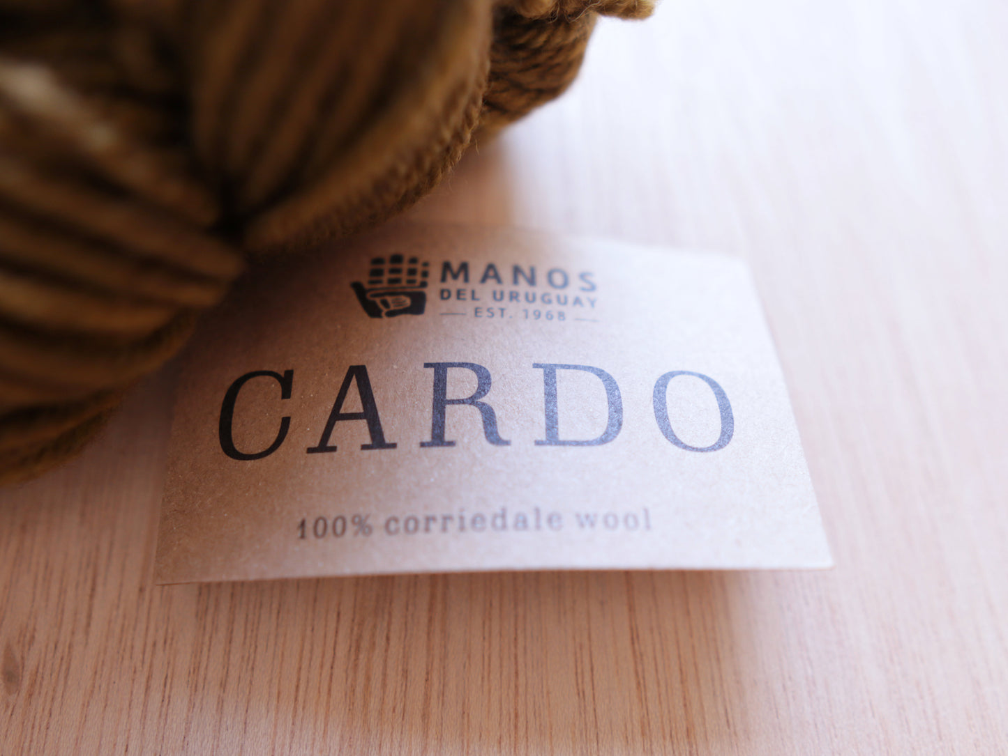 Cardo by Manos del Uruguay Terrarium