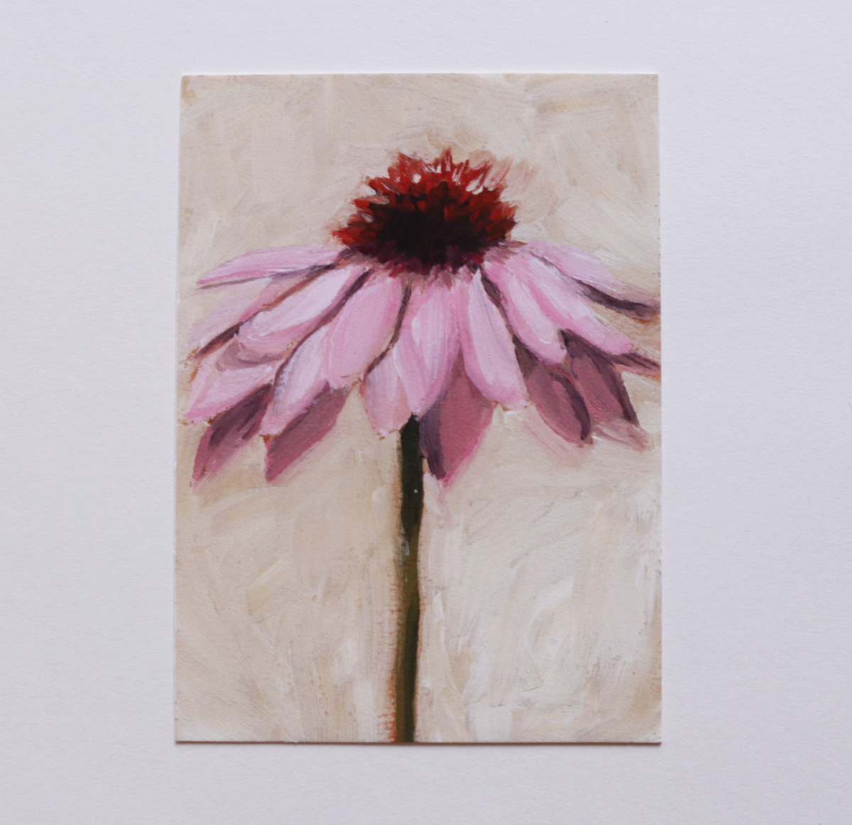 Coneflower Mini Print