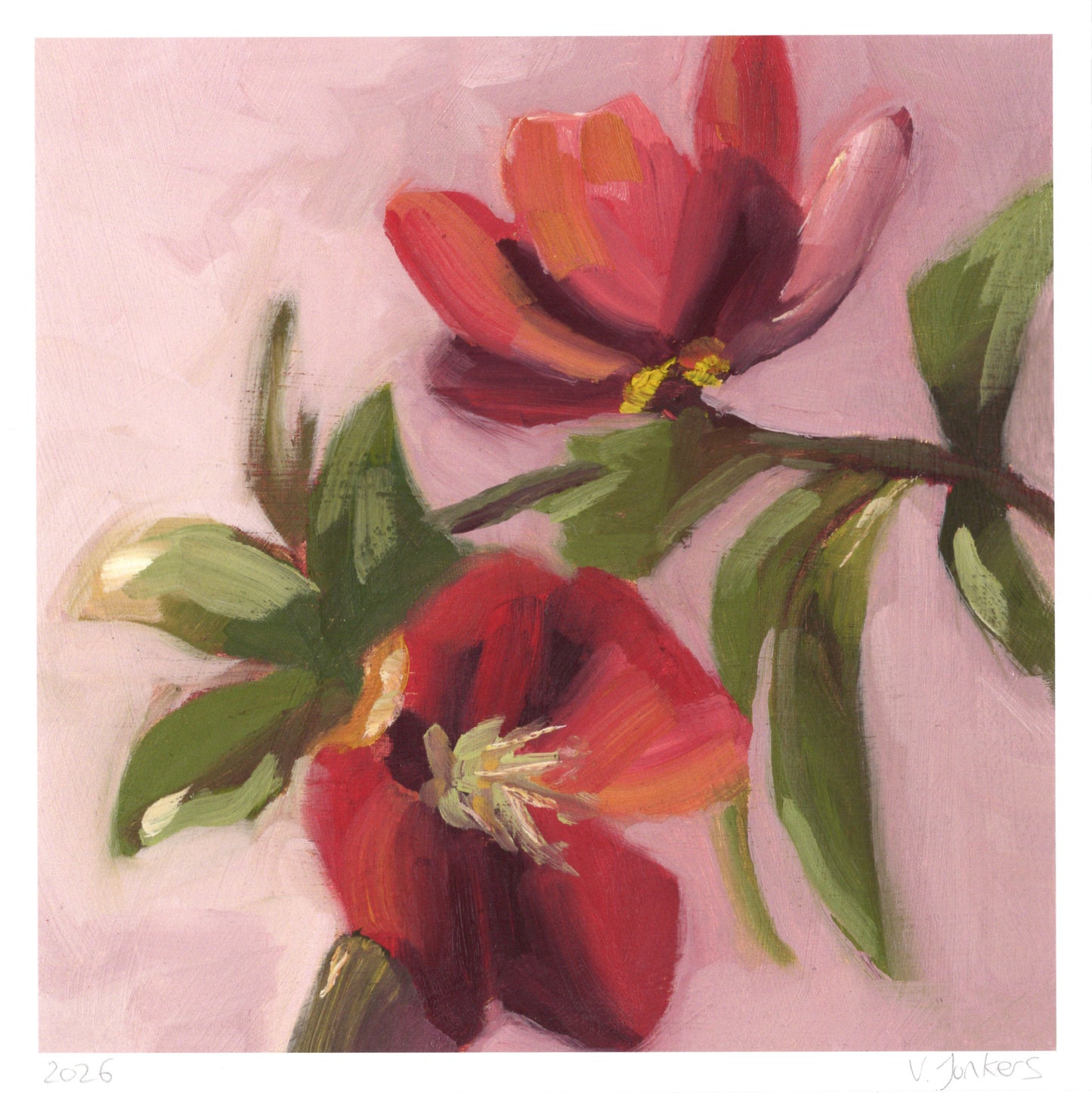 Pink Flowers