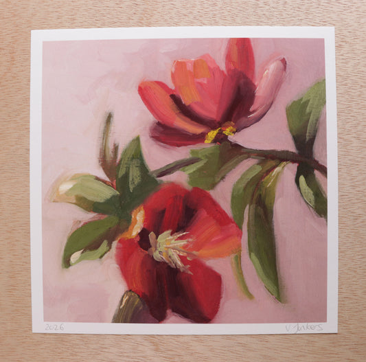 Pink Flowers